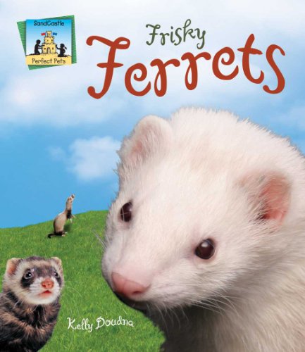 Stock image for Frisky Ferrets (Perfect Pets) for sale by Gulf Coast Books