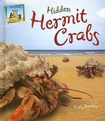 Beispielbild fr Hidden Hermit Crabs zum Verkauf von Better World Books: West