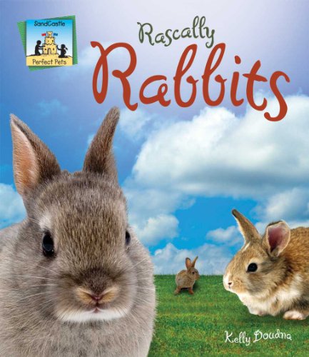 9781599287539: Rascally Rabbits (Perfect Pets)