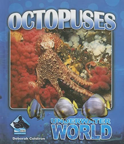 Stock image for Octopuses for sale by Better World Books