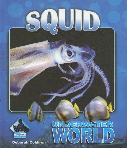 Stock image for Squid for sale by ThriftBooks-Atlanta