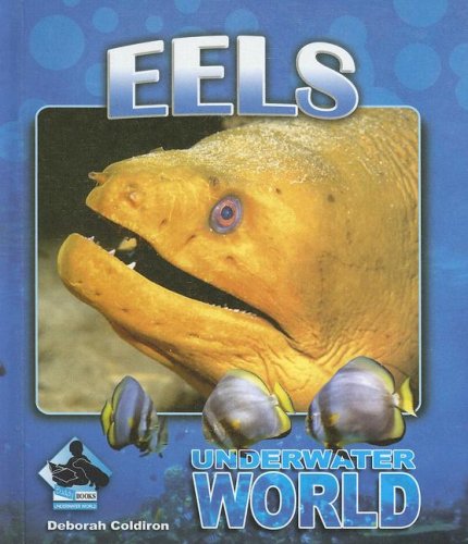 9781599288185: Eels