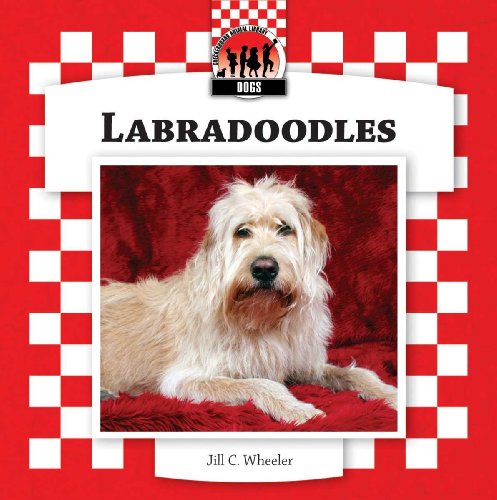 Beispielbild fr Labradoodles zum Verkauf von ThriftBooks-Atlanta