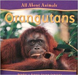 Stock image for Orangutans (All About Animals) for sale by SecondSale
