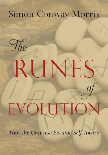 9781599475011: The Runes of Evolution: How the Universe became Self-Aware