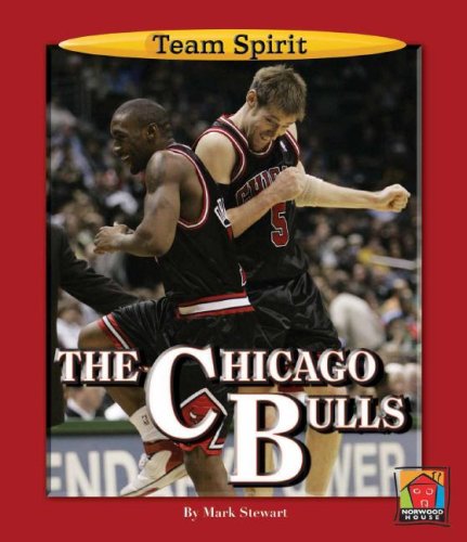 The Chicago Bulls (Team Spirit) (9781599531298) by Stewart, Mark