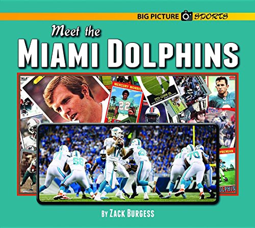 Stock image for Meet the Miami Dolphins for sale by ThriftBooks-Atlanta