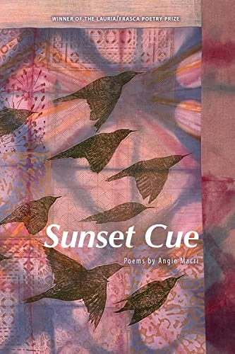 Beispielbild fr Sunset Cue zum Verkauf von Ria Christie Collections