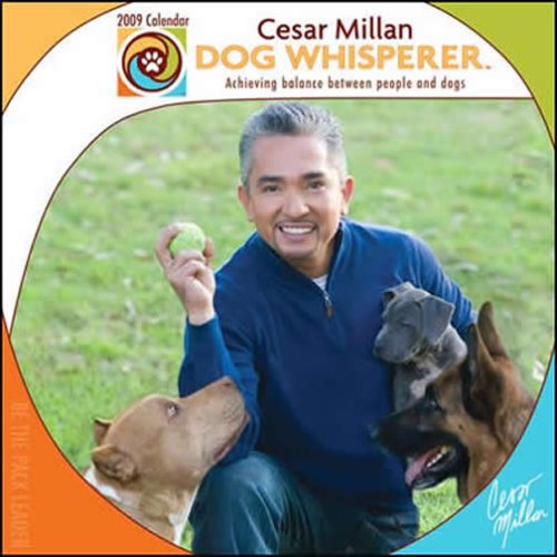 9781599577586: Cesar Millan Dog whisperer 2009 Calendar: Acheiving Balance Between People and Dogs