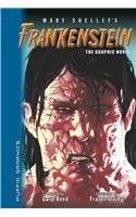 Stock image for Frankenstein (Puffin Graphics) (Graphic Novel Classics) for sale by Better World Books