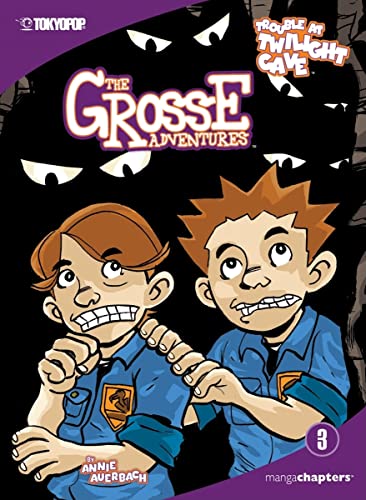 9781599615622: Trouble at Twilight Cave (The Grosse Adventures, 3)