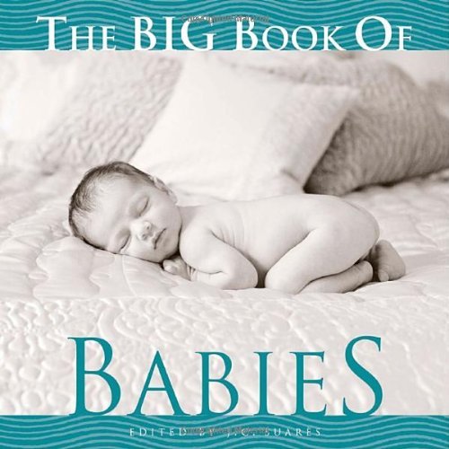 Stock image for The Big Book of Babies for sale by Hippo Books