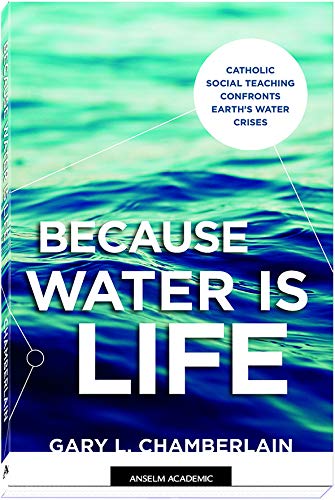 Stock image for Because Water Is Life : Catholic Social Teaching Confronts Earth's Water Crises for sale by Better World Books: West