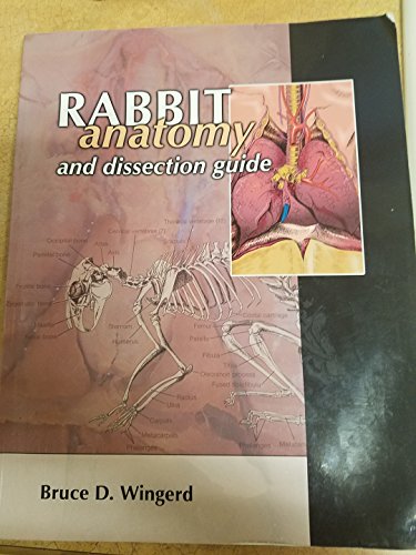 Imagen de archivo de RABBIT ANATOMY+DISSECTION GUIDE a la venta por BombBooks