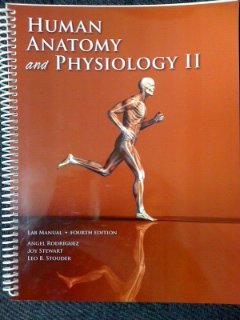 Stock image for Human Anatomy and Physiology II Lab Manual (4th Edition) Broward College for sale by Buyback Express