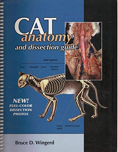Stock image for Cat Anatomy and Dissection Guide for sale by HPB-Emerald