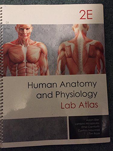 9781599844282: Atlas of Anatomy for Allied Health