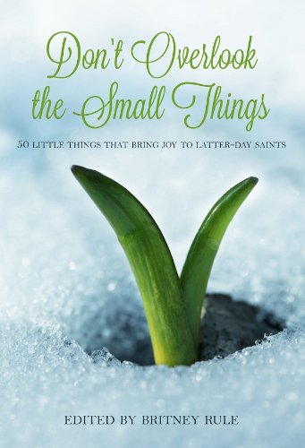 Stock image for Don't Overlook the Small Things for sale by The Book Garden