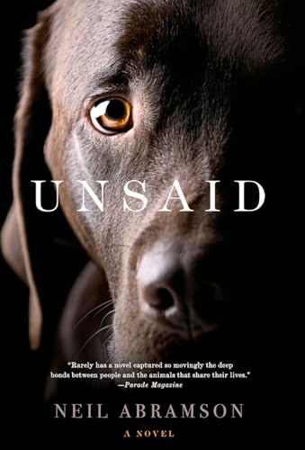 Beispielbild fr Unsaid: A Novel zum Verkauf von Wonder Book