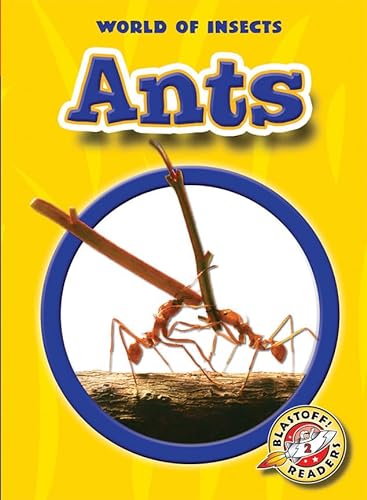 Stock image for Ants for sale by Better World Books: West