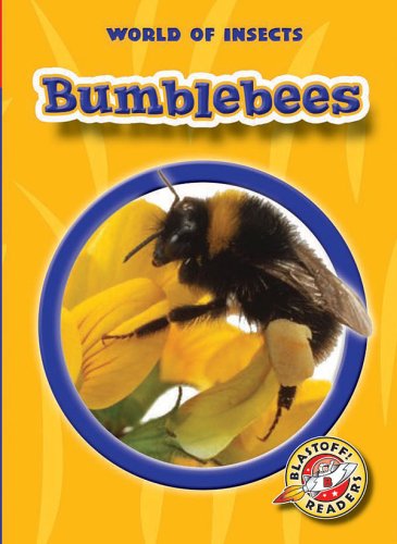 Beispielbild fr Bumblebees (Blastoff! Readers: World of Insects) (Blastoff Readers. Level 2) zum Verkauf von Once Upon A Time Books