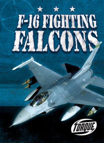 Beispielbild fr F-16 Fighting Falcons zum Verkauf von Better World Books