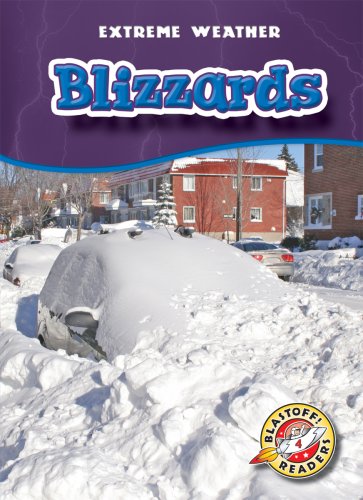 Beispielbild fr Blizzards zum Verkauf von Better World Books