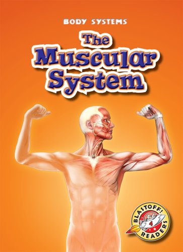 Beispielbild fr The Muscular System zum Verkauf von Better World Books
