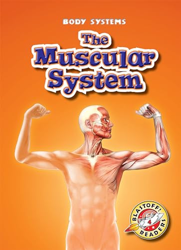 Imagen de archivo de The Muscular System a la venta por Better World Books: West