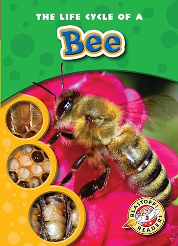 9781600143052: The Life Cycle of a Bee (Blastoff Readers. Level 3)
