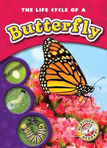 Beispielbild fr The Life Cycle of a Butterfly zum Verkauf von Better World Books