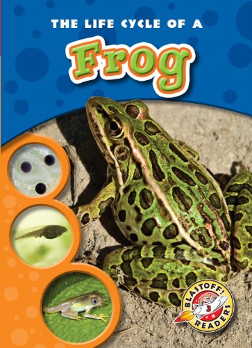 9781600143083: The Life Cycle of a Frog