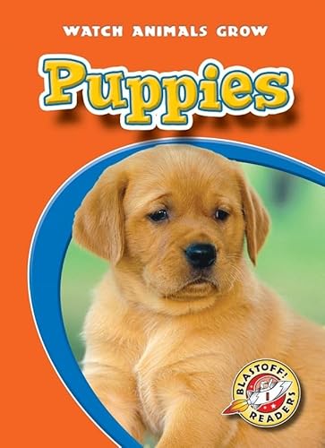 Stock image for Puppies (Paperback)(Blastoff! Readers: Watch Animals Grow) for sale by SecondSale