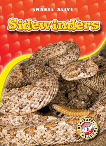 9781600144561: Sidewinders (Snakes Alive)