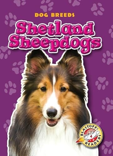 9781600145186: Shetland Sheepdogs (Dog Breeds: Blastoff Readers, Level 4)