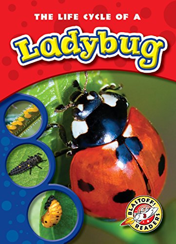 Imagen de archivo de The Life Cycle of a Ladybug a la venta por ThriftBooks-Atlanta