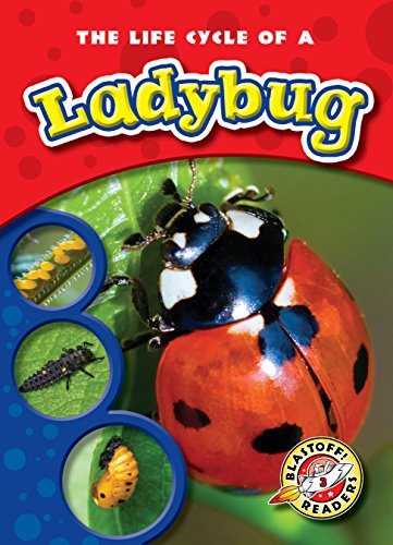 9781600145254: The Life Cycle of a Ladybug