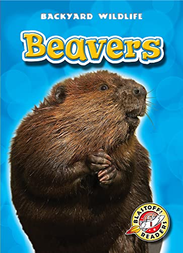 9781600145605: Beavers (Blastoff! Readers: Backyard Wildlife)