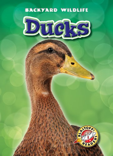 Imagen de archivo de Ducks a la venta por Better World Books