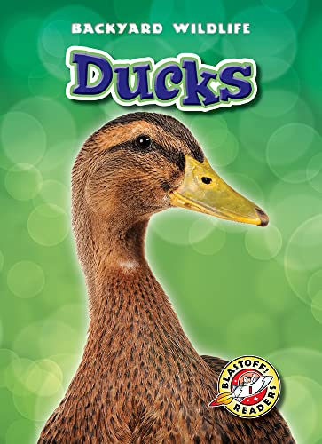 Stock image for Ducks (Blastoff! Readers: Backyard Wildlife) (Blastoff Readers. Level 1) for sale by SecondSale