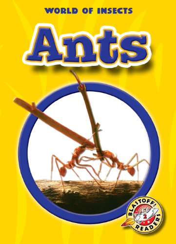 Beispielbild fr Ants (Paperback) (Blastoff! Readers: World of Insects) (World of Insects: Blastoff Readers, Level 2) zum Verkauf von Jenson Books Inc