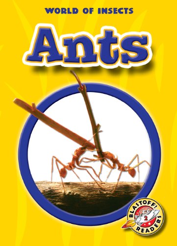 Imagen de archivo de Ants (Paperback) (Blastoff! Readers: World of Insects) (World of Insects: Blastoff Readers, Level 2) a la venta por Jenson Books Inc