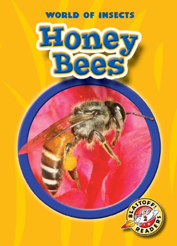 Imagen de archivo de Honey Bees (Paperback) (Blastoff! Readers: World of Insects) (World of Insects: Blastoff Readers, Level 2) a la venta por Decluttr