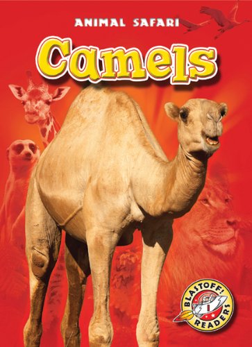 9781600147159: Camels (Blastoff Readers. Level 1)
