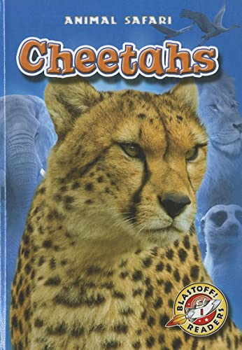 9781600147166: Cheetahs (Blastoff! Readers: Animal Safari)