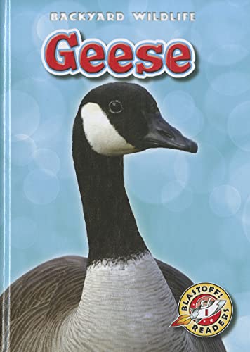 Stock image for Geese for sale by ThriftBooks-Atlanta