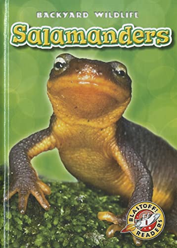 Beispielbild fr Salamanders (Blastoff! Readers: Backyard Wildlife) zum Verkauf von Gulf Coast Books
