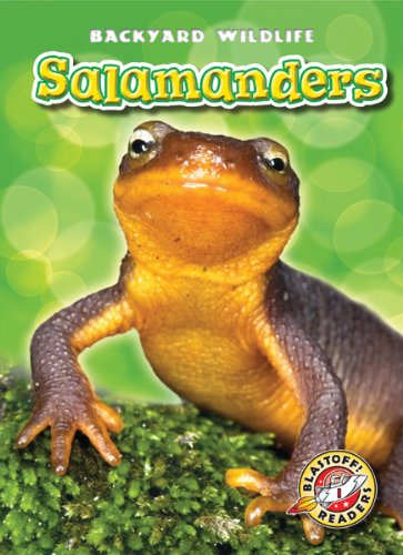 9781600147234: Salamanders (Backyard Wildlife)