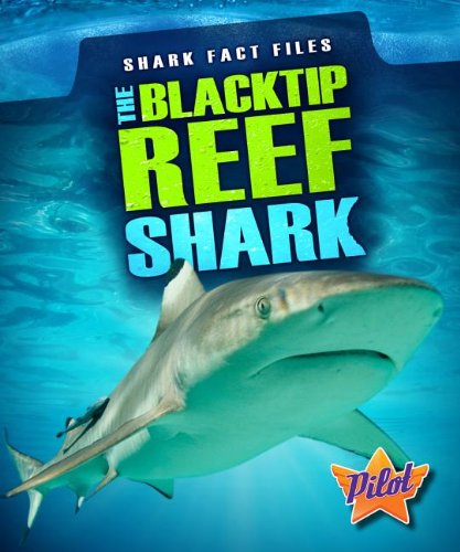 9781600148675: The Blacktip Reef Shark (Shark Fact Files)