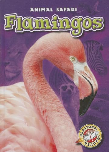 9781600149665: Flamingos (Blastoff Readers. Level 1) (Animal Safari)